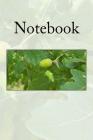 Notebook: Oak Tree Cover Image
