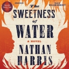 The Sweetness of Water (Oprah's Book Club): A Novel Cover Image