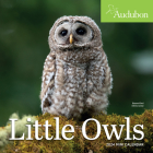 Audubon Little Owls Mini Wall Calendar 2024: A Year of Fluffy and Round Owls Cover Image