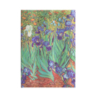 Van Gogh's Irises Hardcover Journals MIDI 144 Pg Lined Van Gogh's Irises By Paperblanks Journals Ltd (Created by) Cover Image