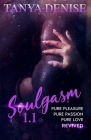 Soulgasm 1.1 By Tanya Denise, Tanya DeFreitas Cover Image