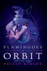 Flamingoes in Orbit By Philip Ridley Cover Image