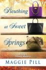 Sleuthing at Sweet Springs (Sleuth Sisters Mysteries #4) By Maggie Pill Cover Image