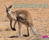 Kangaroos (Meet Desert Animals) By Rose Davin Cover Image