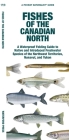 Fishes of the Canadian North: A Folding Guide to Native and Introduced Freshwater Species of the Northwest Territories, Nunavut and Yukon By Waterford Press, Matthew Morris, Leung Raymond (Illustrator) Cover Image