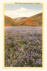 The Vintage Journal Wildflowers in California By Found Image Press (Producer) Cover Image