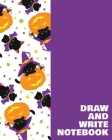 Draw and Write Notebook: Large Primary Composition Book for Handwriting Practice, Drawing, and Writing Stories with Cat Wearing Bat Wings and P Cover Image
