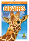 Giraffes By Emma Huddleston Cover Image