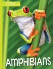 Amphibians (Animal Classification) By Charlie Ogden Cover Image