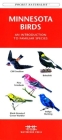 Ohio Birds: A Folding Pocket Guide to Familiar Species (Pocket Naturalist Guide) By James Kavanagh, Waterford Press, Raymond Leung (Illustrator) Cover Image