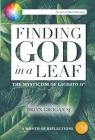 Finding God in a Leaf: The Mysticism of Laudato Si' By Brian Grogan Cover Image