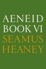 Aeneid Book VI: A New Verse Translation: Bilingual Edition Cover Image