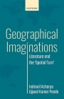 Geographical Imaginations: Literature and the 'Spatial Turn' By Indranil Acharya, Ujjwal Kumar Panda Cover Image