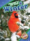 Winter (Seasons of the Year) By Rebecca Pettiford Cover Image