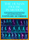 The Human Figure in Motion (Dover Anatomy for Artists) By Eadweard Muybridge Cover Image