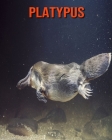 Platypus: Amazing Facts about Platypus By Devin Haines Cover Image