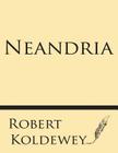 Neandria By Robert Koldewey Cover Image
