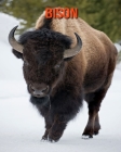 Bison: Sagenhafte Fotos & Buch mit lustigem Wissen über Bison für Kinder Cover Image