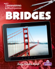 Bridges By Tracy Vonder Brink Cover Image