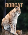 Bobcat: Fascinating Bobcat Facts for Kids with Stunning Pictures! By Joe Murphy Cover Image