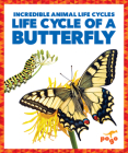Life Cycle of a Butterfly Cover Image