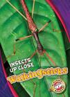 Walkingsticks (Insects Up Close) By Patrick Perish Cover Image