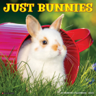 Just Bunnies 2025 12 X 12 Wall Calendar Cover Image