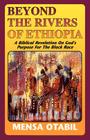 Beyond the Rivers of Ethiopia Cover Image