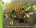 Honey in a Hive (Let's-Read-and-Find-Out Science 2) By Anne Rockwell, S. D. Schindler (Illustrator) Cover Image
