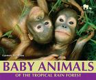 Baby Animals of the Tropical Rain Forest (Nature's Baby Animals) By Carmen Bredeson Cover Image