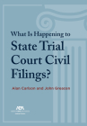 What Is Happening to State Trial Court Civil Filings?: The Unsolved Riddles Cover Image
