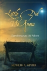 Little Did We Know: Eyewitnesses to the Advent Cover Image
