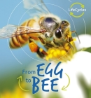 From Egg to Bee (Life Cycles) By Camilla De La Bedoyere Cover Image