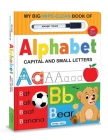 My Big Wipe And Clean Book of Alphabet for Kids: Capital And Small Letters By Wonder House Books Cover Image
