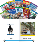 Time for Kids(r) Informational Text Grade K Readers Set 3 10-Book Set By Teacher Created Materials Cover Image