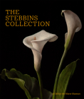 The Stebbins Collection: A Gift for the Morse Museum By Regina Palm, Virginia Anderson (Contribution by) Cover Image