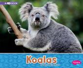 Koalas: A 4D Book (Australian Animals) Cover Image