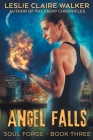 Angel Falls By Leslie Claire Walker Cover Image