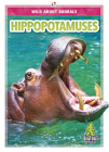 Hippopotamuses By Rhonda E. Nichols Cover Image