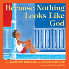 Because Nothing Looks Like God By Lawrence Kushner, Karen Kushner, Dawn W. Majewski (Illustrator) Cover Image