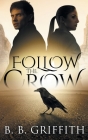 Follow the Crow (Vanished, #1) Cover Image