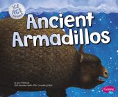 Ancient Armadillos (Ice Age Animals) By Gail Saunders-Smith (Consultant), Jeni Wittrock Cover Image