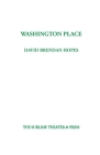 Washington Place By David Brendan Hopes Cover Image
