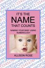 It's The Name That Counts: Naming Your Baby Using Numerology Cover Image