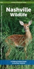 Nashville Wildlife: A Folding Pocket Guide to Familiar Animals (Pocket Naturalist Guide) Cover Image