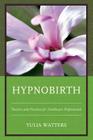 Hypnobirth: Theories and Practices for Healthcare Professionals Cover Image