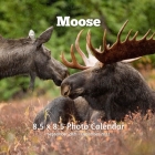 Moose 8.5 X 8.5 Calendar September 2021 -December 2022: Monthly Calendar with U.S./UK/ Canadian/Christian/Jewish/Muslim Holidays-Nature Animals Wildli Cover Image