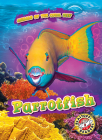 Parrotfish Cover Image