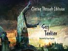 Glaring Through Oblivion By Serj Tankian, Roger Kupelian (Illustrator) Cover Image