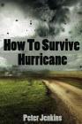 How To Survive A Hurricane: (Hurricane force, Hurricane manual) By Peter Jenkins Cover Image